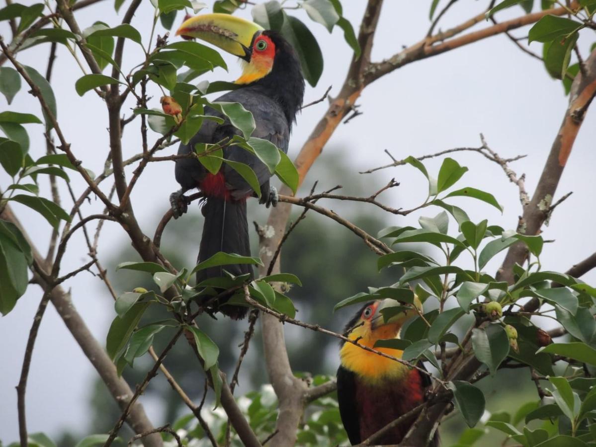 Chalet,1480387133:JPEG