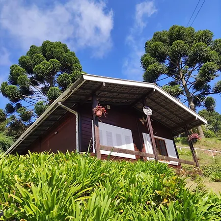 Chalé Manacá House-2