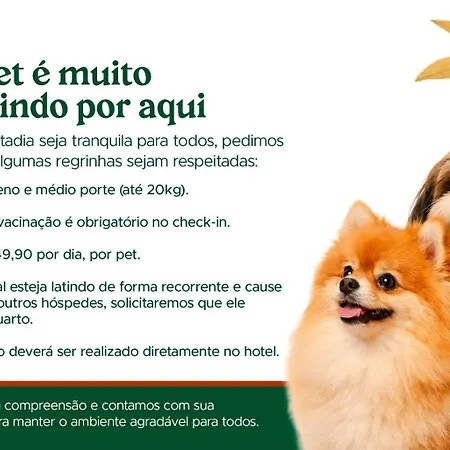 Hotel Caminhos de Itaipava-3
