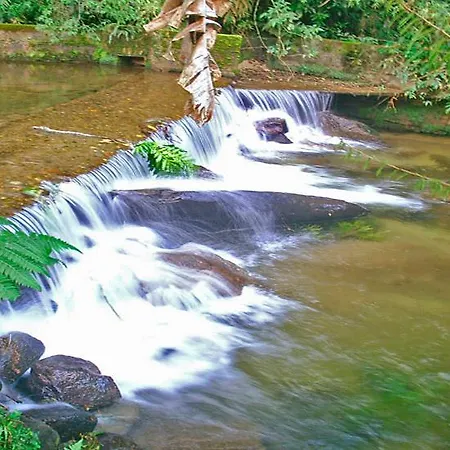 Chale Truta Da Floresta-3