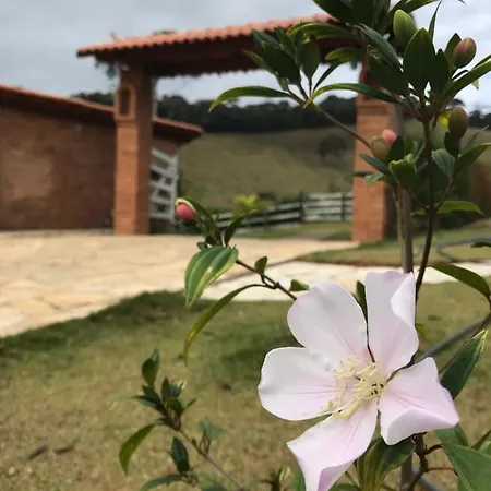 Chalés Alternativa Sítio-3
